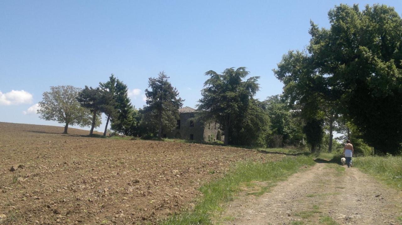 Appartamento Miralago Μπολσένα Εξωτερικό φωτογραφία
